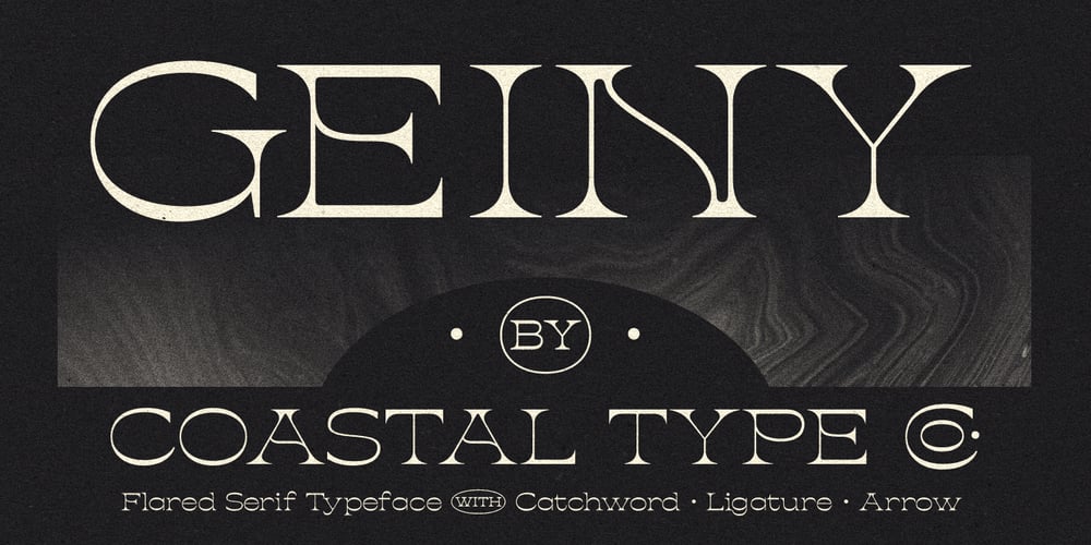 Geiny font