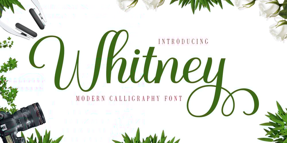 Whitney font