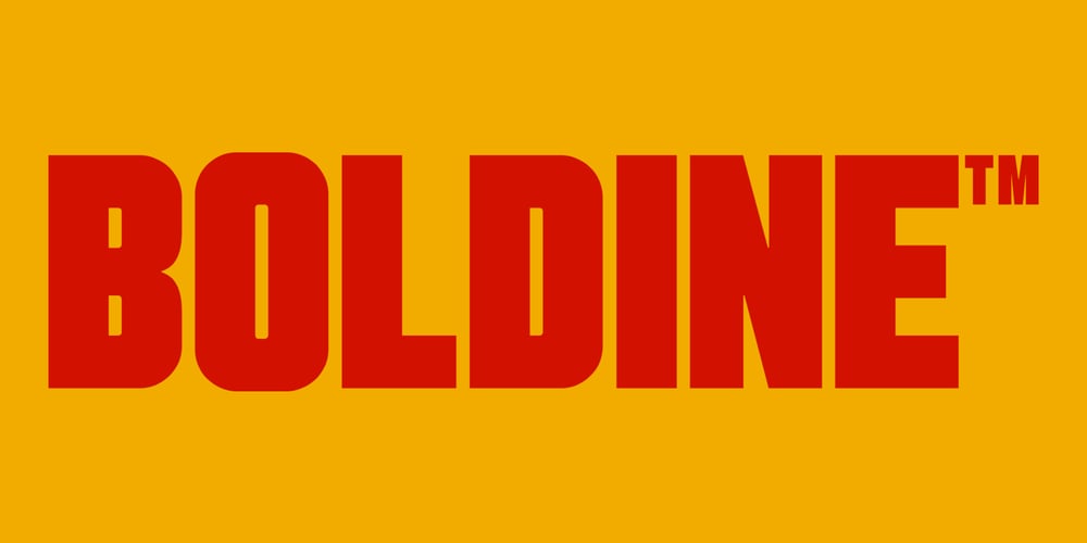 Boldine font