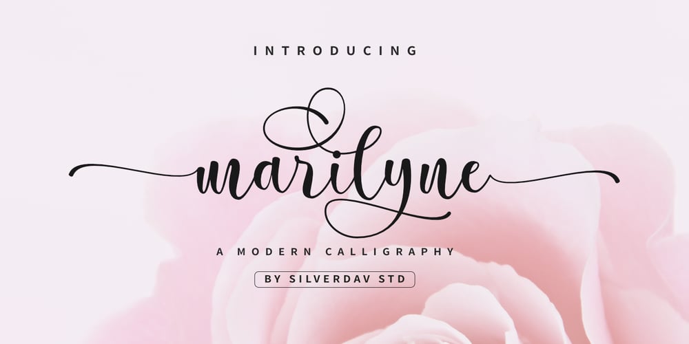 Marilyne font