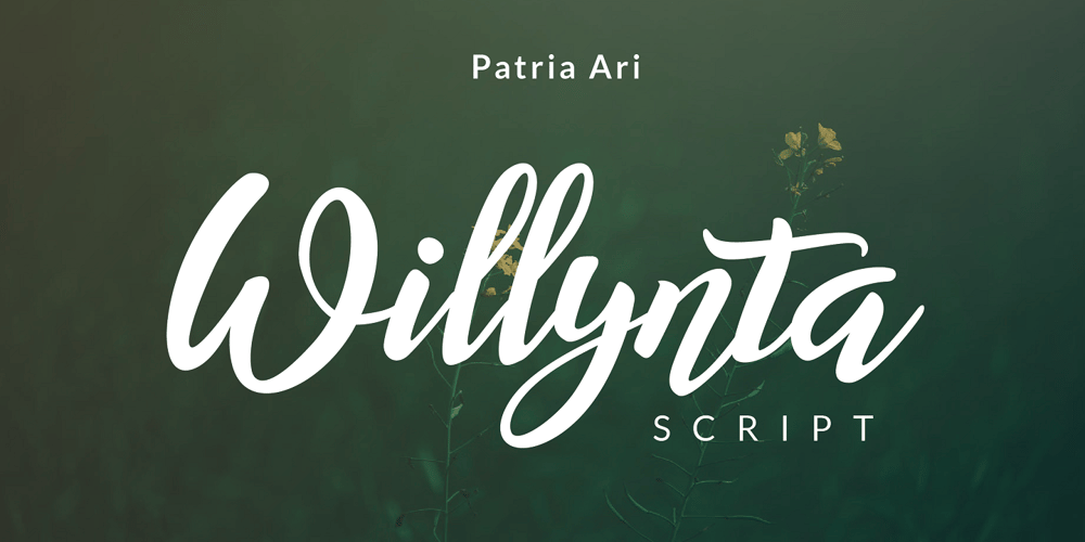 Willynta font