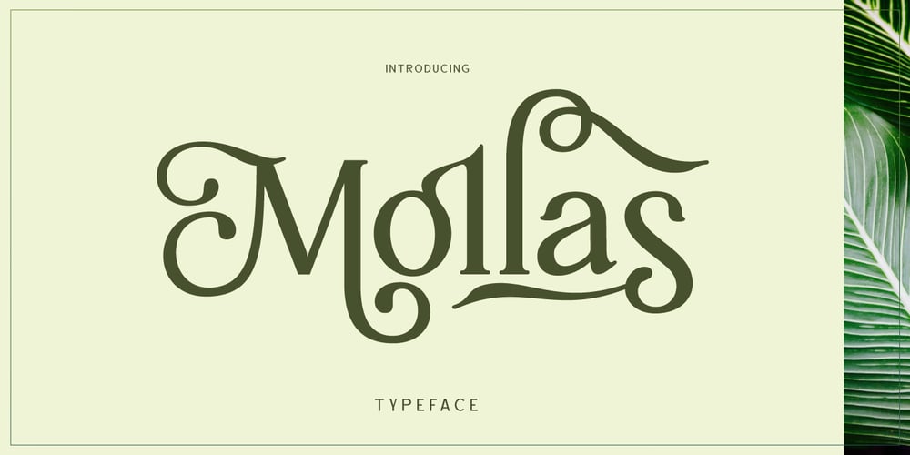 Mollas font