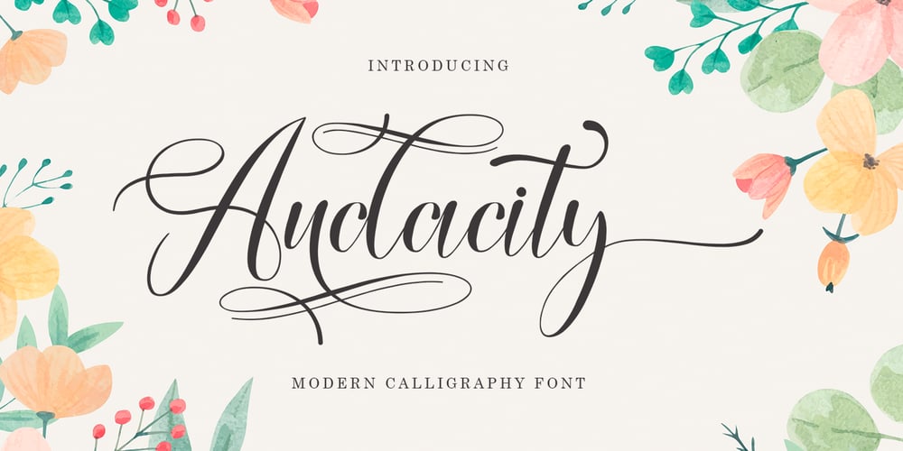 Audacity Script font