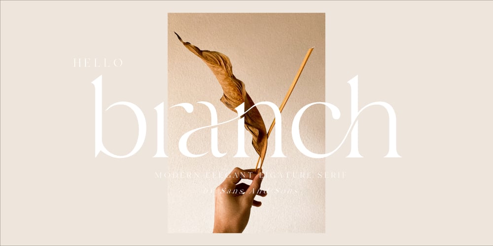 Hello Branch font