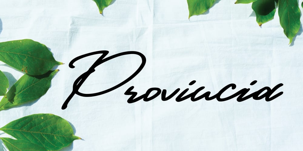 Provincia font