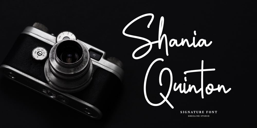 Shania Quinton font