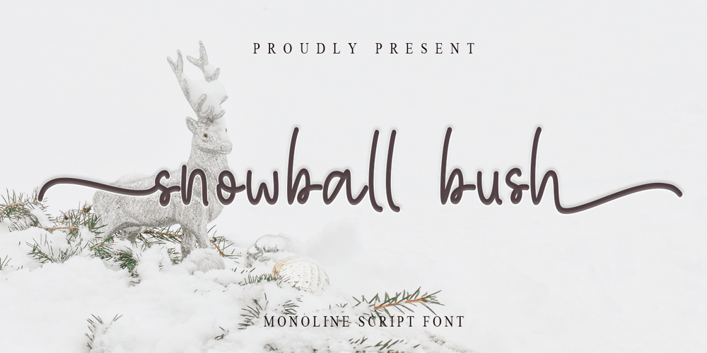 Snowball Bush font