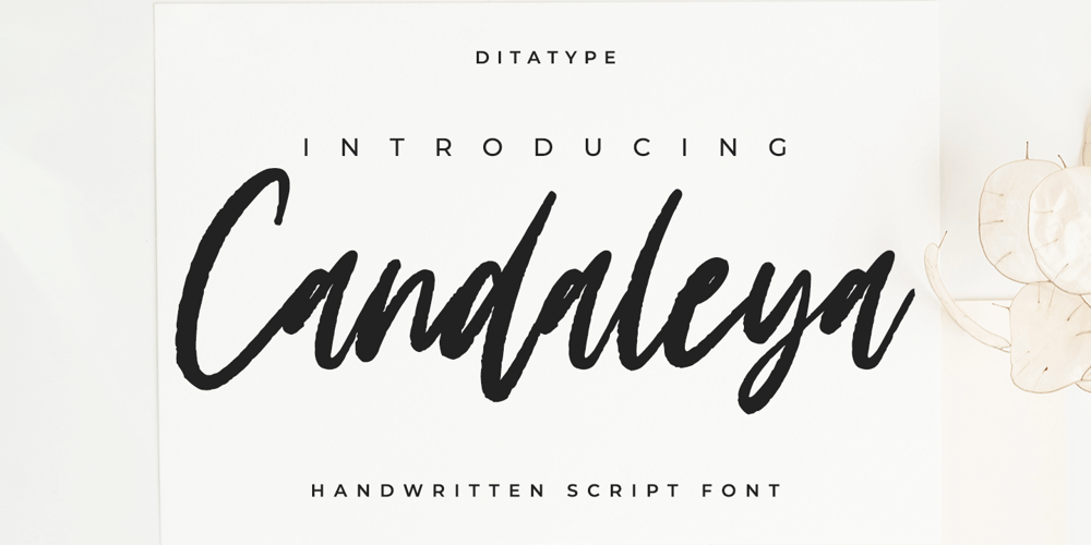 Candaleya font