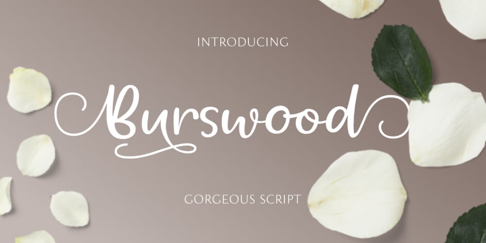 Burswood font
