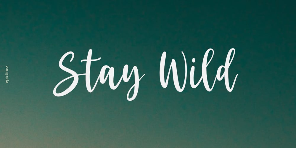 Stay Wild font