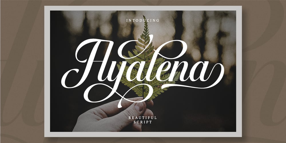 Ayalena font