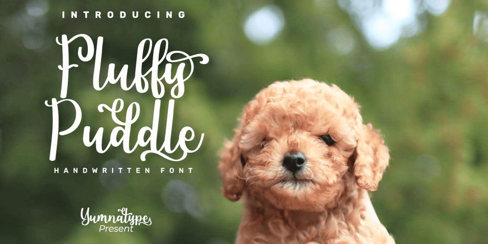 Fluffy Puddle font