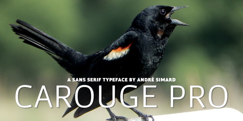 Carouge Pro font