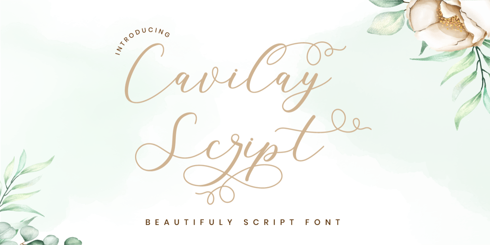 Cavilay Script font