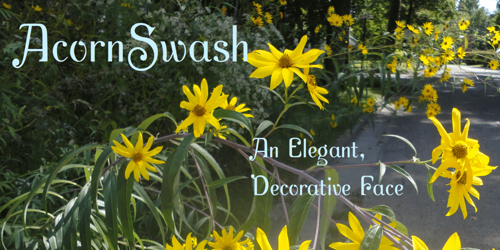 AcornSwash font
