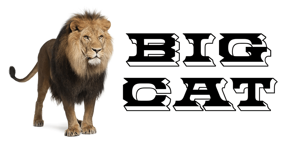 Big Cat font