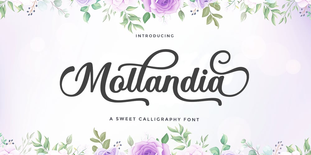 Mollandia font
