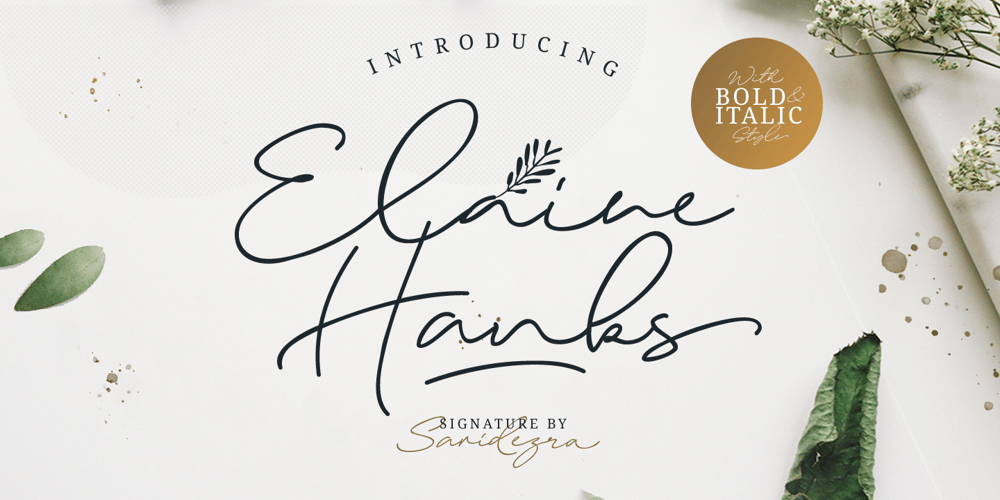 Elaine Hanks font