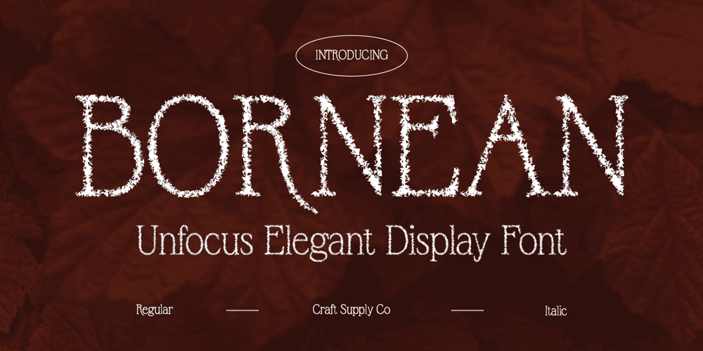Bornean Unfocus font
