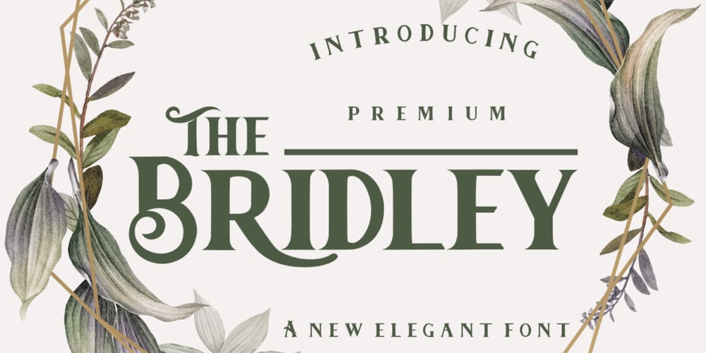 Bridley font