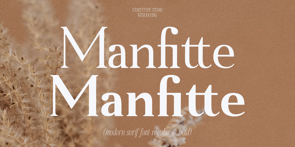 Manfitte font