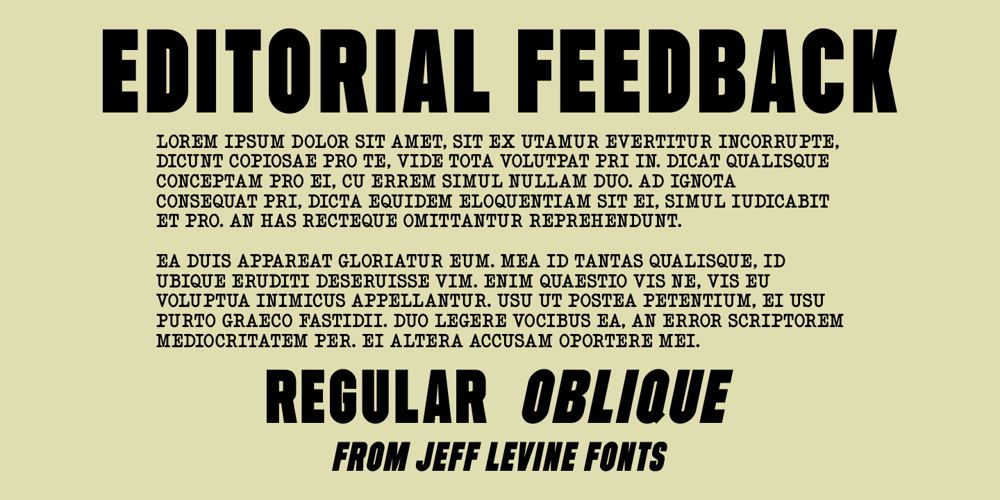 Editorial Feedback JNL font