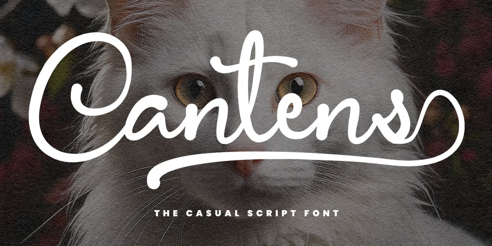 MC Cantens font