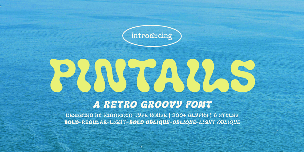 Pintails font