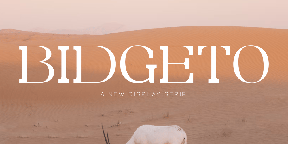 Bidgeto font