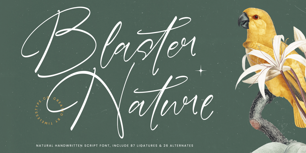 Blaster Nature font