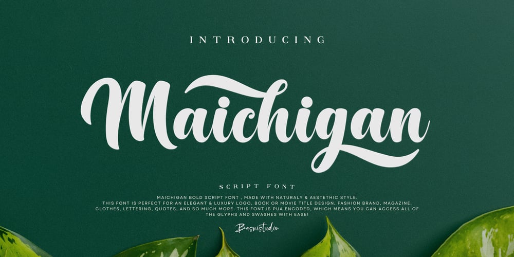 Maichigan font