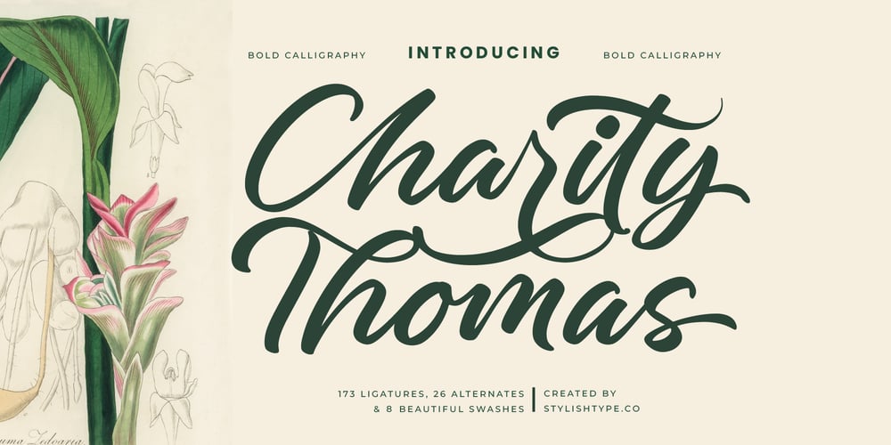 Charity Thomas font