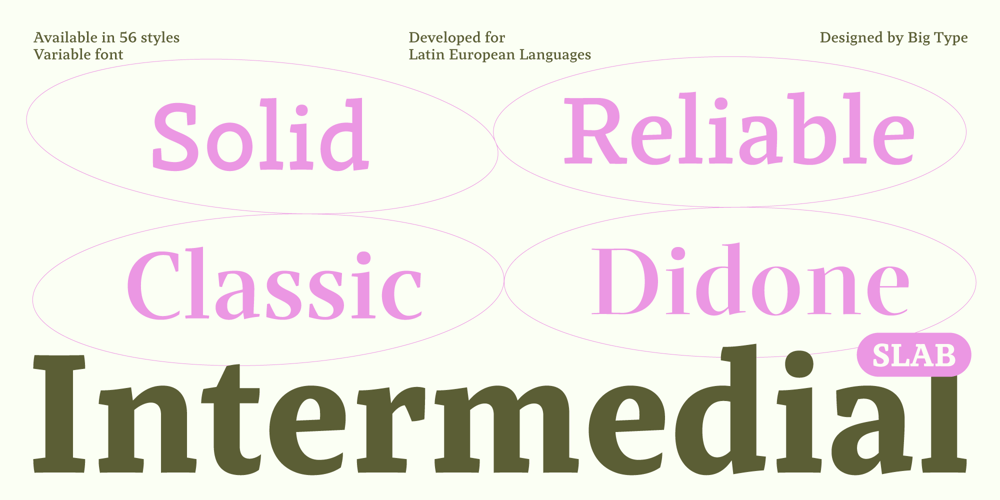 Intermedial Slab Variable font