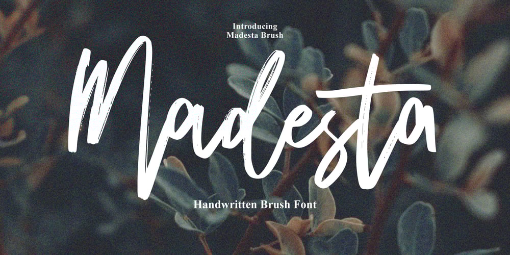 Madesta Brush font