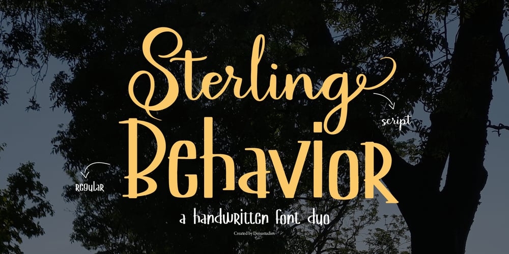 Sterling Behavior font