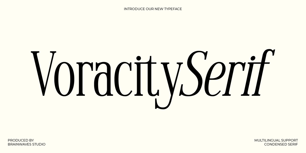 Voracity Serif Display font