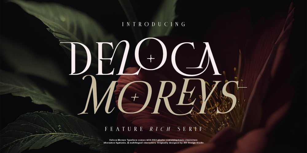 Deloca Moreys font