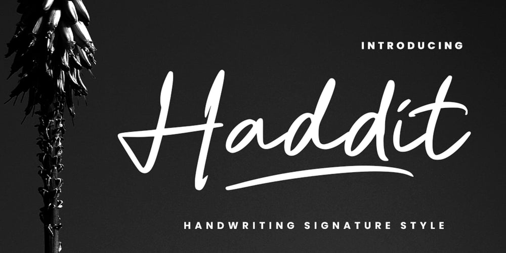 Haddit font
