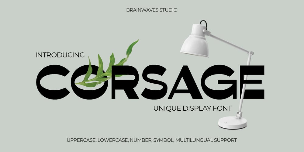 Corsage Sans Display font