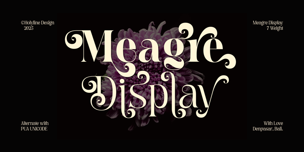 Meagre Display font