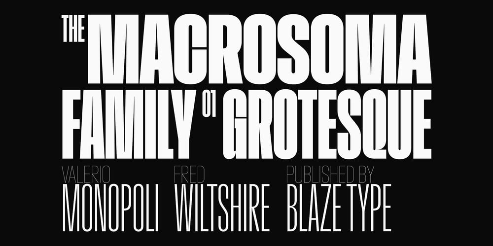 Macrosoma Grotesque Variable font