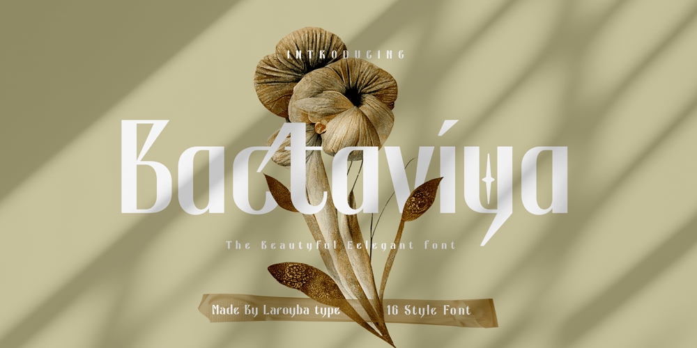 Bactaviya font