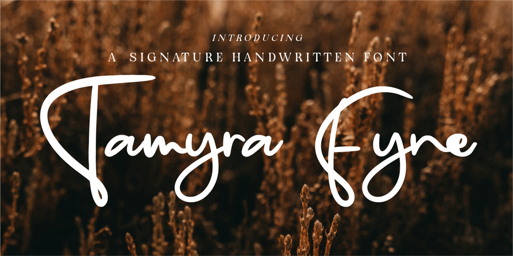 CF Tamyra Fyne font
