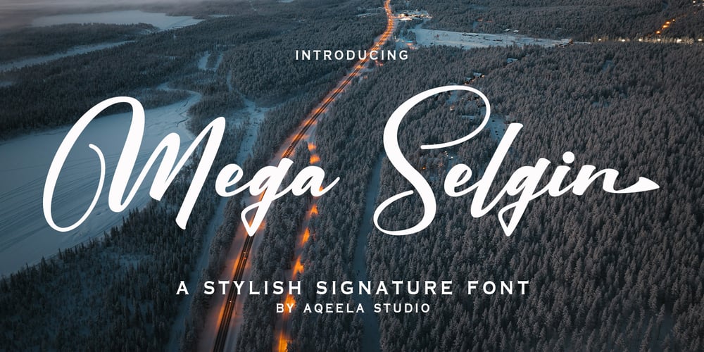 Mega Selgin font