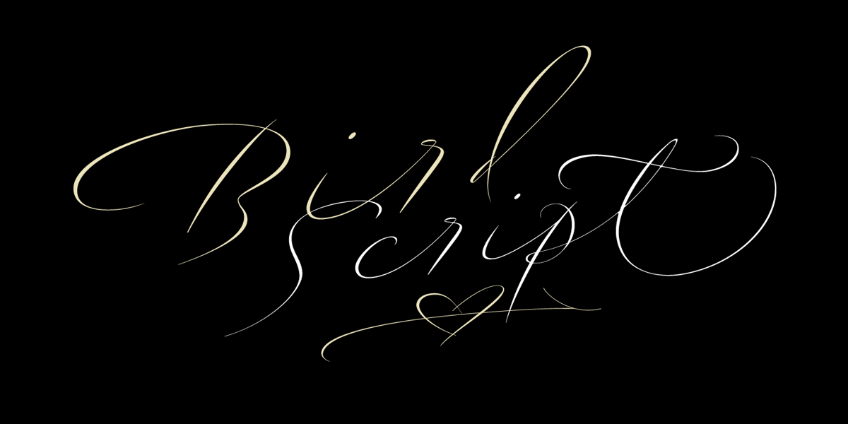 Bird Script Font | Webfont & Desktop | MyFonts