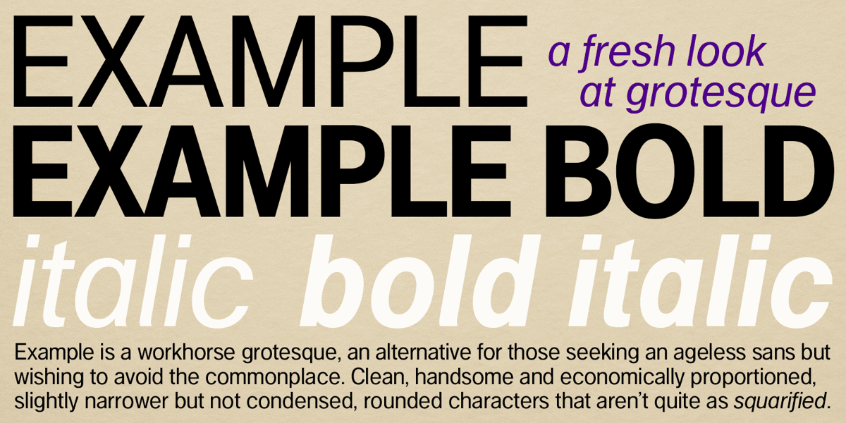 Example Font | Webfont & Desktop | MyFonts