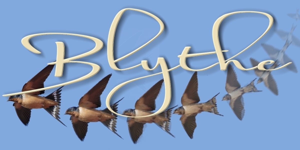 Blythe Font | Webfont & Desktop | MyFonts