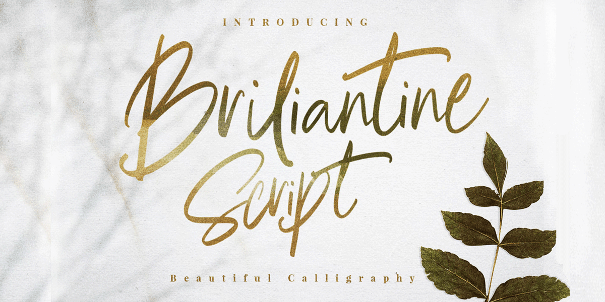 Brilliant Beautiful Script Font | Webfont & Desktop | MyFonts
