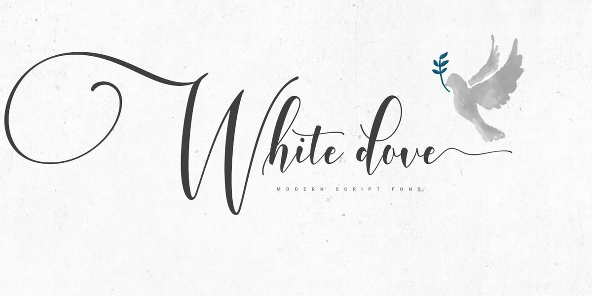 Dove Lettering White Dove Script Font | Webfont & Desktop | MyFonts