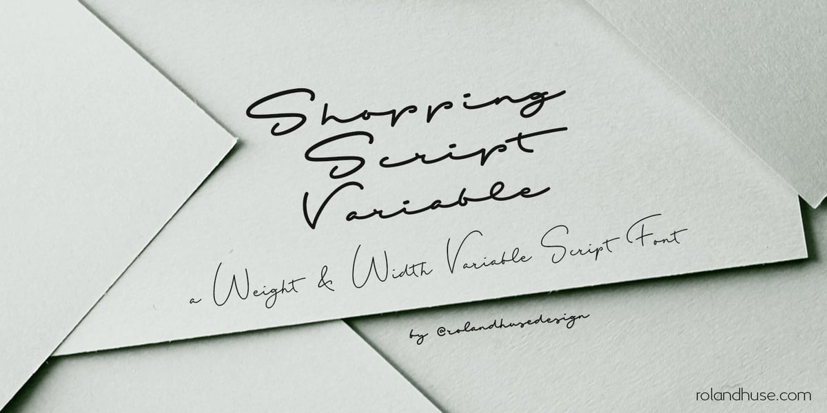 Our Store Fancy Script Shopping Script Font | Webfont & Desktop | MyFonts